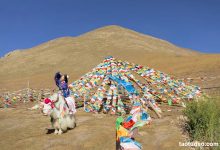 [ROSI写真] 2017.09.14 No.2108 [33+1P]-秀人美女