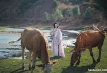 [YITUYU艺图语]2023.04.09 去随青草牧春牛 瑜瑾[24+1P／524MB]-秀人美女