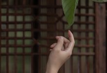 [YITUYU艺图语]2023.04.13 庭有枇杷树 时生[24+1P／339MB]-秀人美女