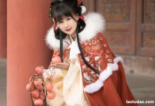 [YITUYU艺图语]2023.03.30 元日 酒酿圆子[24+1P／330MB]-秀人美女