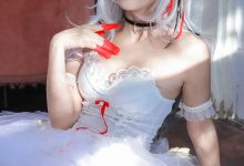 苏嫣嫣阿姨-明日方舟-W芭蕾 [30P-249MB]-秀人美女