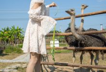 [尤蜜丝]穿搭写真 NO.086[76P／400MB]-秀人美女