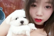 鱼鱼足影 NO.056 - 长沙幼师[26P／59MB]-秀人美女