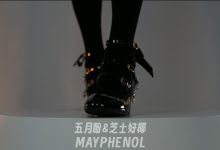 芝士好椰 NO.009  - 简直是难以抗拒的奢华光泽[1V／627MB]-秀人美女