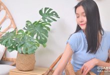 [SSA丝社]短片 NO.0164 君君 浪莎肤色丝袜[1V／525MB]-秀人美女