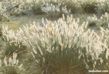 [YITUYU艺图语]2023.03.14 秋风起 芝芝琪[25+1P／298MB]-秀人美女