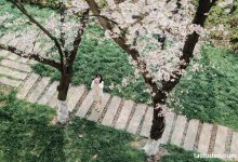 [YITUYU艺图语]2023.04.18 樱花教室 萌伊伊[32+1P／368MB]-秀人美女