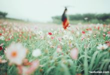 [YITUYU艺图语]2023.04.26 花语 小温暖想要个大太阳 [23+1P／231MB]-秀人美女