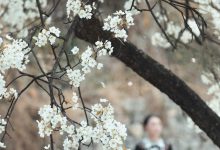 [YITUYU艺图语]2023.05.07 十里春风梨花如雨 薇薇[49+1P／828MB]-秀人美女