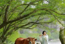 [YITUYU艺图语]2023.02.25 兰芝 锦超[21+1P／277MB]-秀人美女