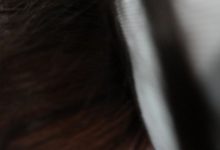 [ROSI写真]2021.01.11 NO.3325[41+1P45M]-秀人美女