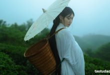 [YITUYU艺图语]2021.12.24 空山灵雨 初茶[26+1P／433MB]-秀人美女