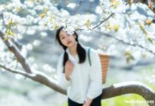 [YITUYU艺图语]2021.12.27 故乡的小燕子 欢欢[35+1P／588MB]-秀人美女