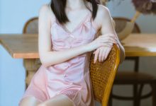 许岚 NO.009 — 半透粉纱[40P-836MB]-秀人美女