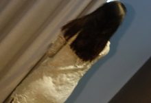 [ROSI写真]2023.06.11 NO.4206[224+1P／282MB]-秀人美女