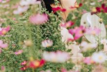 [YITUYU艺图语]2021.09.03 繁花孤影 茶茶[23+1P／280MB]-秀人美女