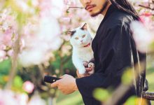 [YITUYU艺图语]2021.09.04 猫侍 邱风[30+1P／311MB]-秀人美女