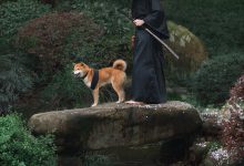 [YITUYU艺图语]2021.10.11 犬侍 老乔[20+1P／223MB]-秀人美女