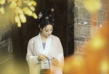 [YITUYU艺图语]2023.02.03 等闲日 陌颜[29+1P／531MB]-秀人美女