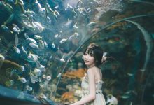 [YITUYU艺图语]2022.04.15 海洋水族馆 丸子[20+1P／413MB]-秀人美女