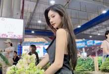 就是阿朱啊 - 菜市場 [21P-33MB]-秀人美女