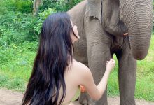 就是阿朱啊 -  人与自然 [16P-205MB]-秀人美女