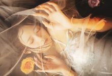 兔子Zzz不吃胡萝卜 - NO.46 梦莲 [30P-377MB]-秀人美女