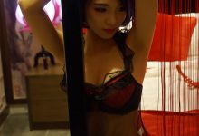 [PDL潘多拉] 2019.01.30 NO.333 [27+1P]-秀人美女