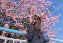 萌芽儿 - NO.26 异木棉花 [27P-436MB]-秀人美女