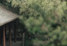 [YITUYU艺图语]2022.07.12 入江南 辛冉[32+1P／356MB]-秀人美女