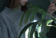 [YITUYU艺图语]2022.05.02 斗鱼 小可爱[21+1P／168MB]-秀人美女