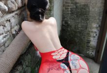 左公子666 微密圈合集【图片+视频-1.12G】-秀人美女