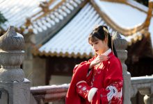 兔子Zzz不吃胡萝卜 - NO.79 深宫雪 [27P-260MB]-秀人美女