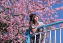 萌芽儿 -  异木棉花 [27P-436MB]-秀人美女