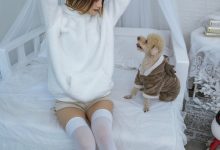 [YITUYU艺图语]2022.12.17 温馨少女与宠物们 兔子Zzz不吃胡萝卜[23+1P／371MB]-秀人美女