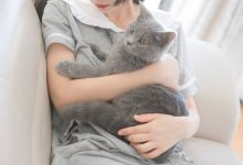 [轻兰映画]SPL.014[110P／875MB]-秀人美女