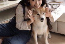 [YITUYU艺图语]2022.11.27 Hi,小狗 叛逆的捡捡唯[28+1P／201MB]-秀人美女