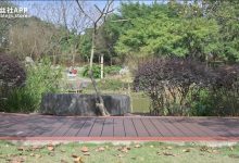 [SSA丝社] 短片 NO.211 文子 国产muziduo[1V-1.01G]-秀人美女