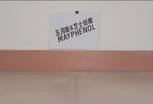 芝士好椰 NO.097 – 听！把麦克风别在鞋上！黑色维莉雅 [MOV-494MB]-秀人美女