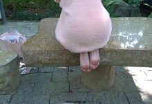 [MussGirl]慕丝女郎视频 No.027 人气网红主播月亮姐姐有幸约得户外拍摄 [MP4-3.00GB]-秀人美女