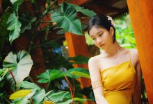 年年nnian – 蒹葭 [36P-290.6M]-秀人美女