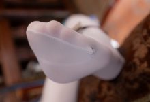 Sayako今年四岁-原神-珐露珊[38P-796MB]-秀人美女