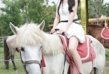 青柠映画 038 – 阿慌 骑马 [65P2V-3.69GB]-秀人美女